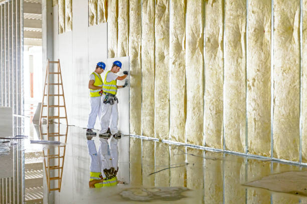 Best Insulation Maintenance and Repair in Hastings On Hudson, NY